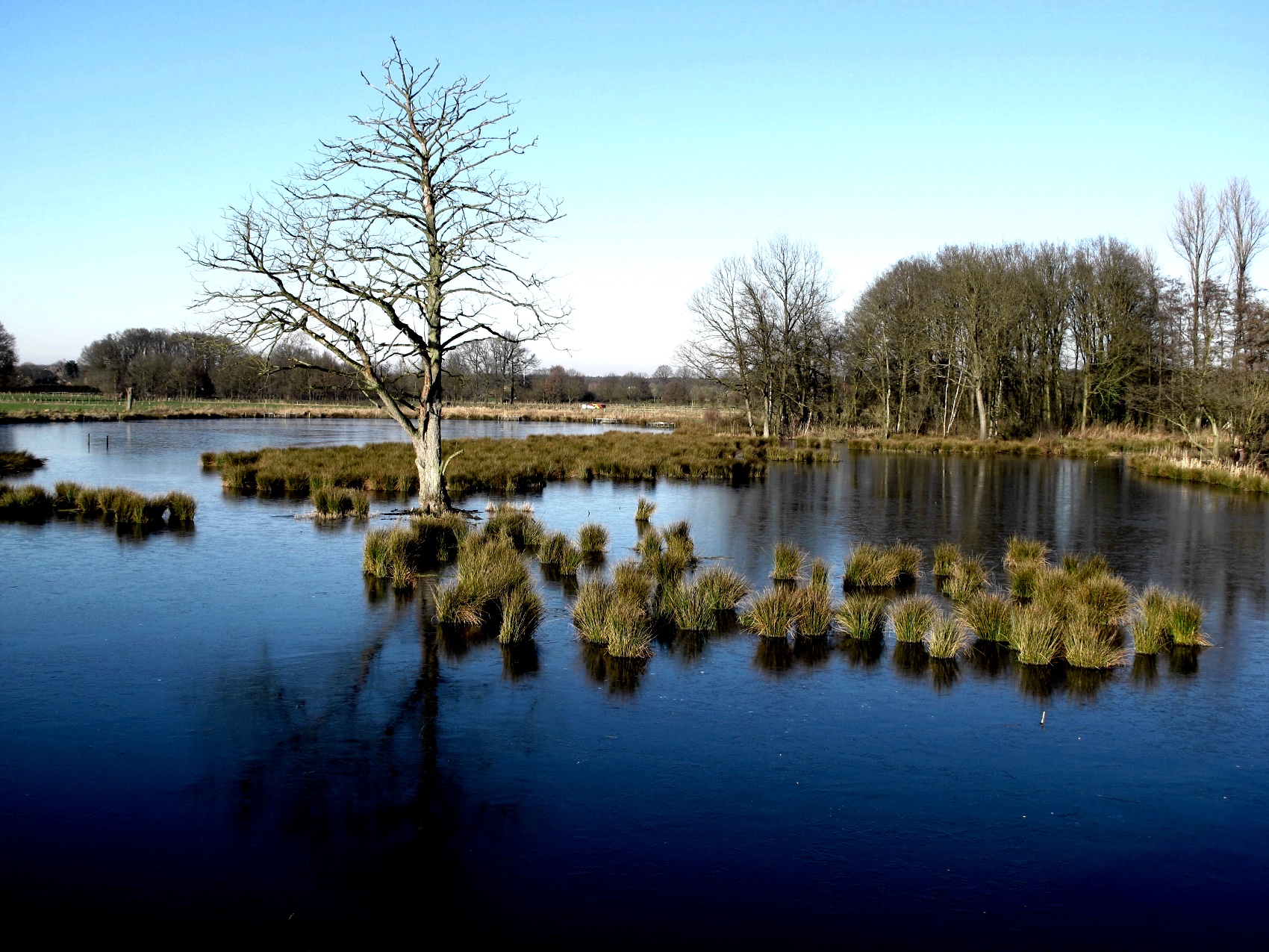 1-background-1700x1275